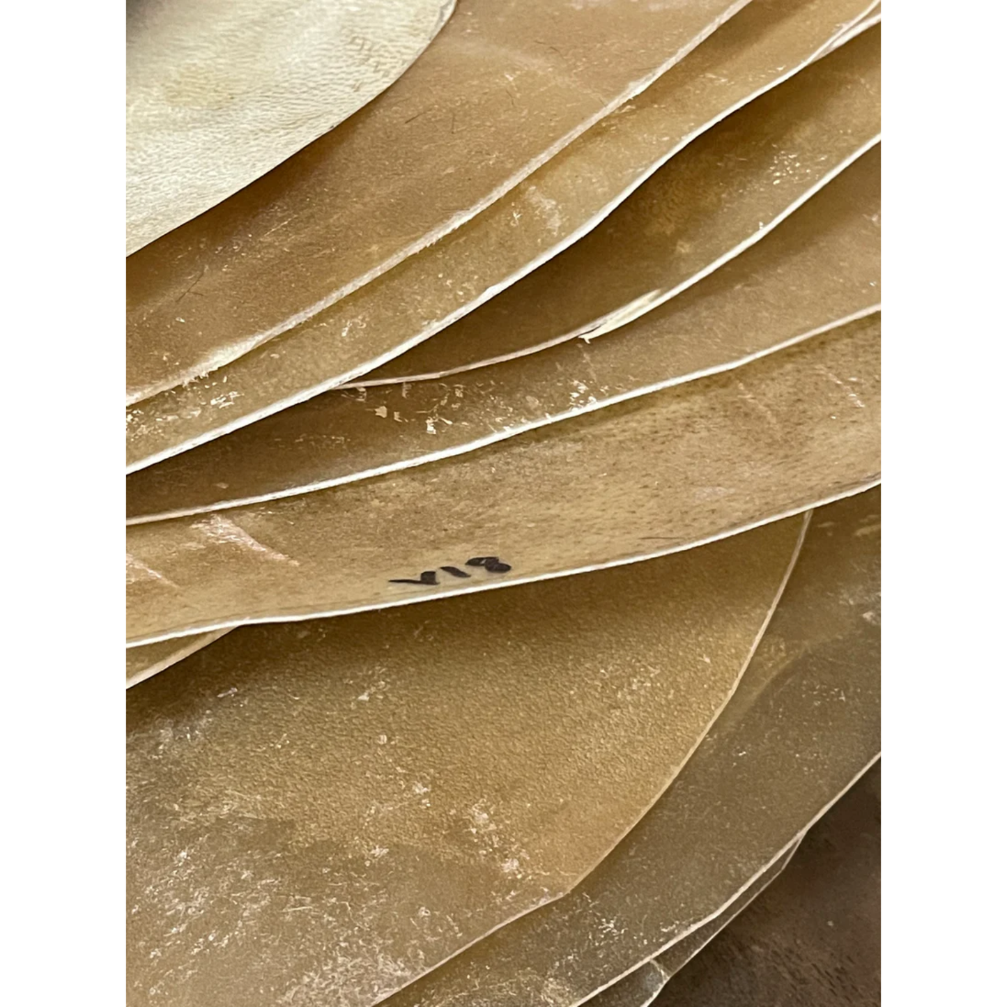 Requinto Profesional 12" – Handcrafted by Panderos PR × Raquel Music Store Special Order