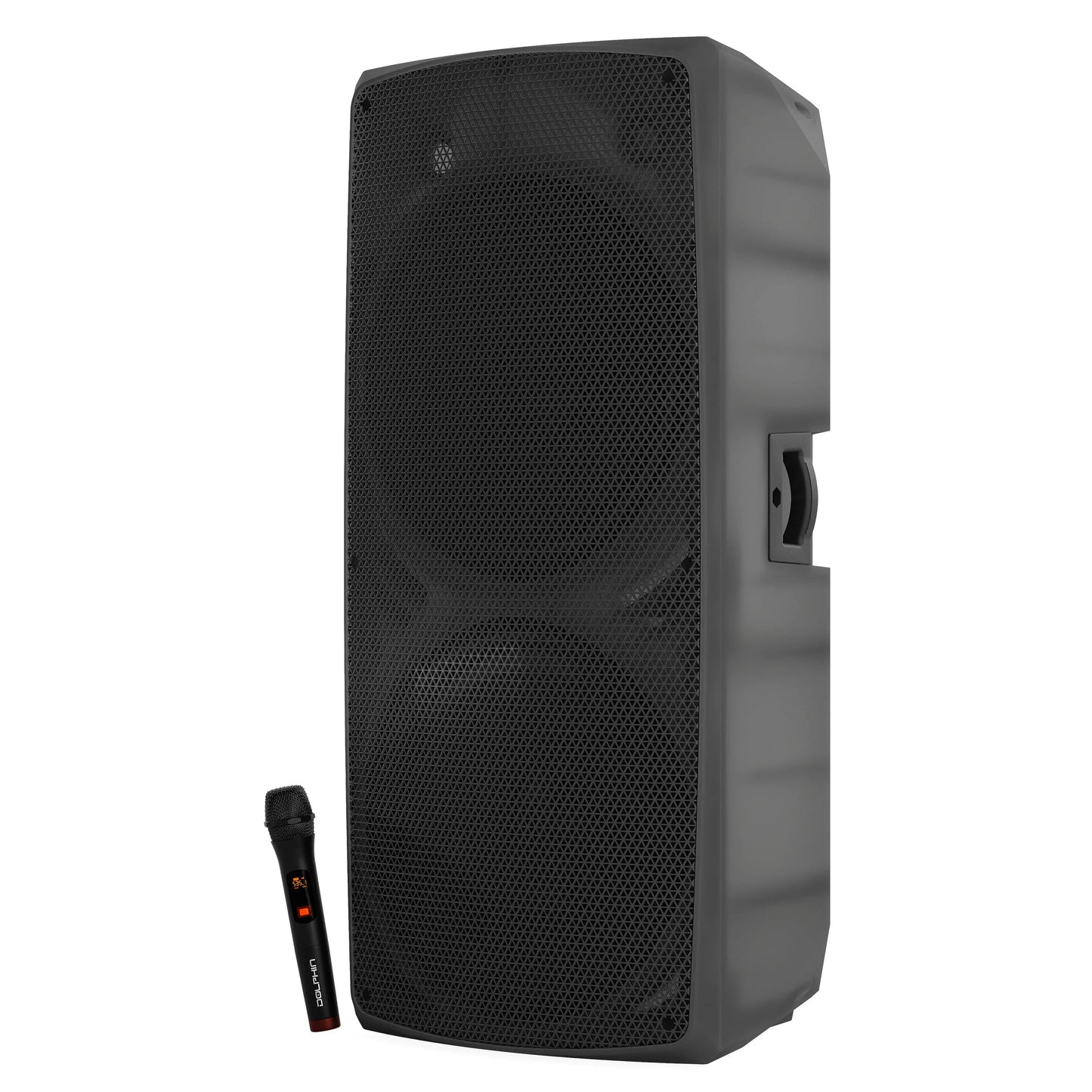 Dolphin Party Station 2X15” 200 RMS SPX-290