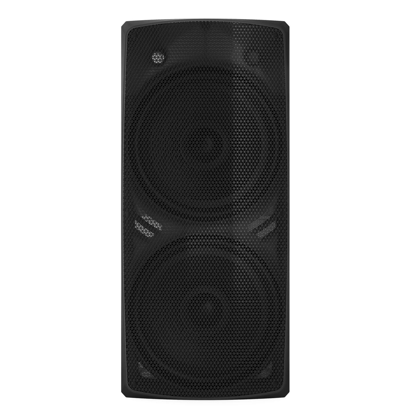 Dolphin Party Station 2X15” 200 RMS SPX-290