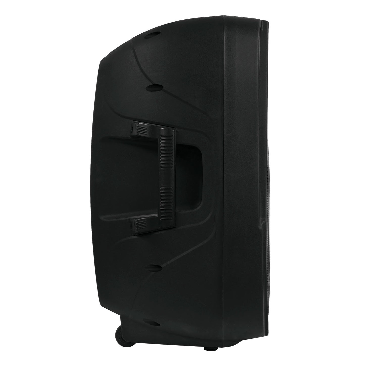 Pro Bass Powered Speaker Combo Stand and Microphone ELEVATE-LP