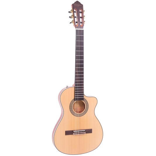 Don Jose 39" Slim Body Guitar Elite Serie G-Performer