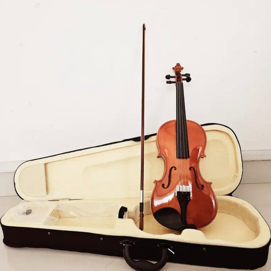 RMS Violin Set 4/4 Bow and Hard Case