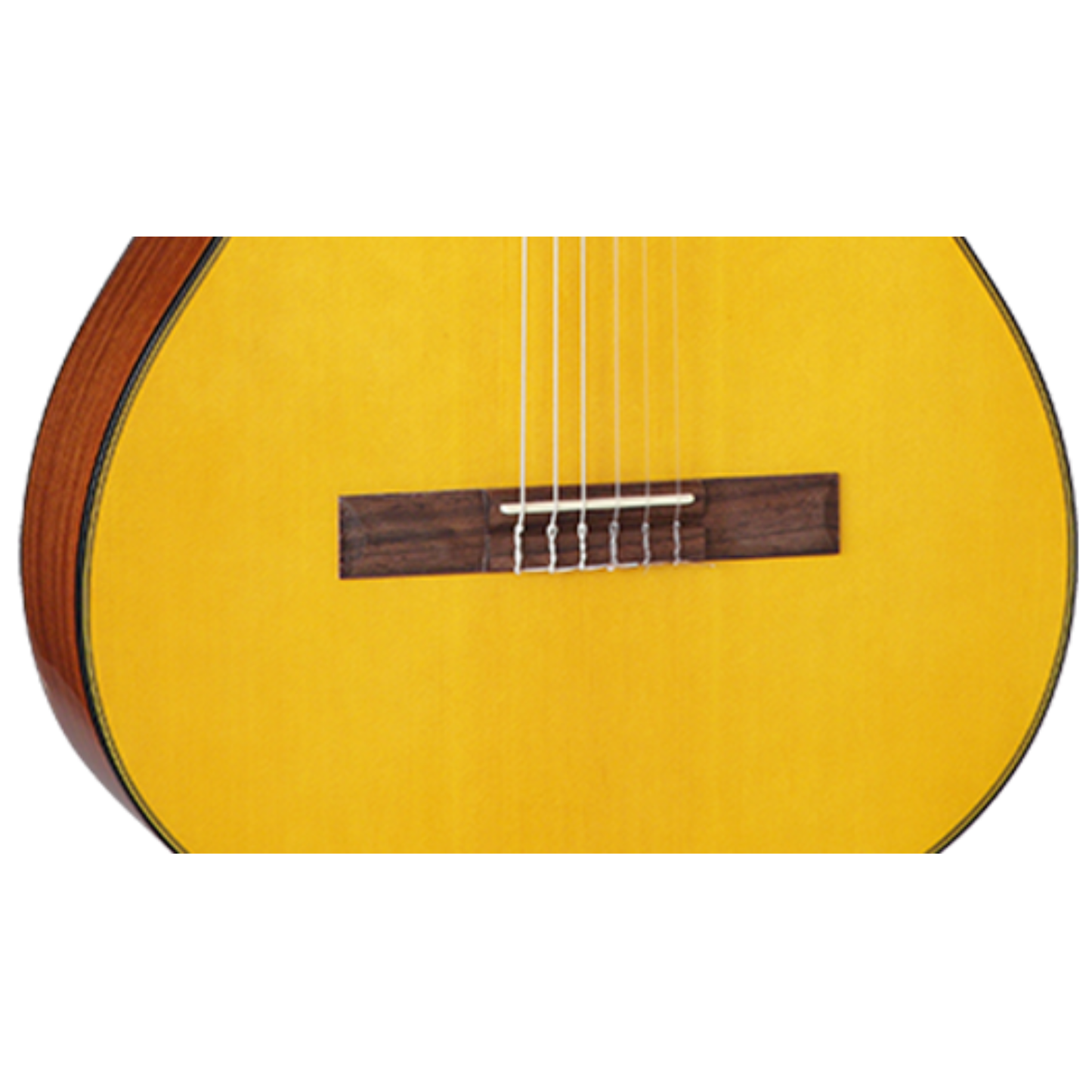 Takamine 39" Nylon String Classical Guitar GC1-NAT