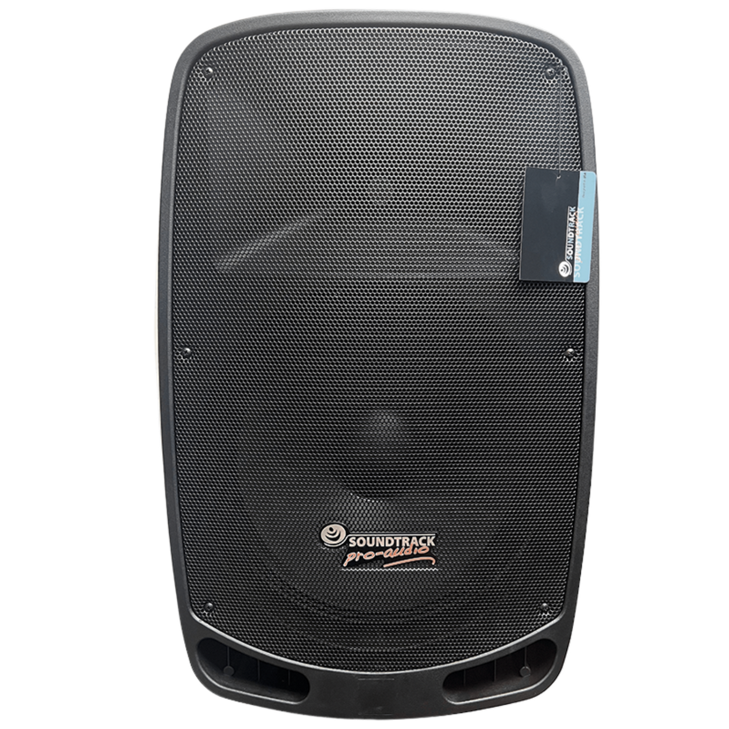 Soundtrack Pro Audio Combo Dual Speaker 15” Stands and Cables AS-450SYS