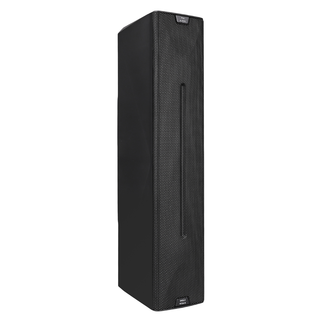 PSG Audio Eagle 206 Active Sound Column Speaker 403A-B