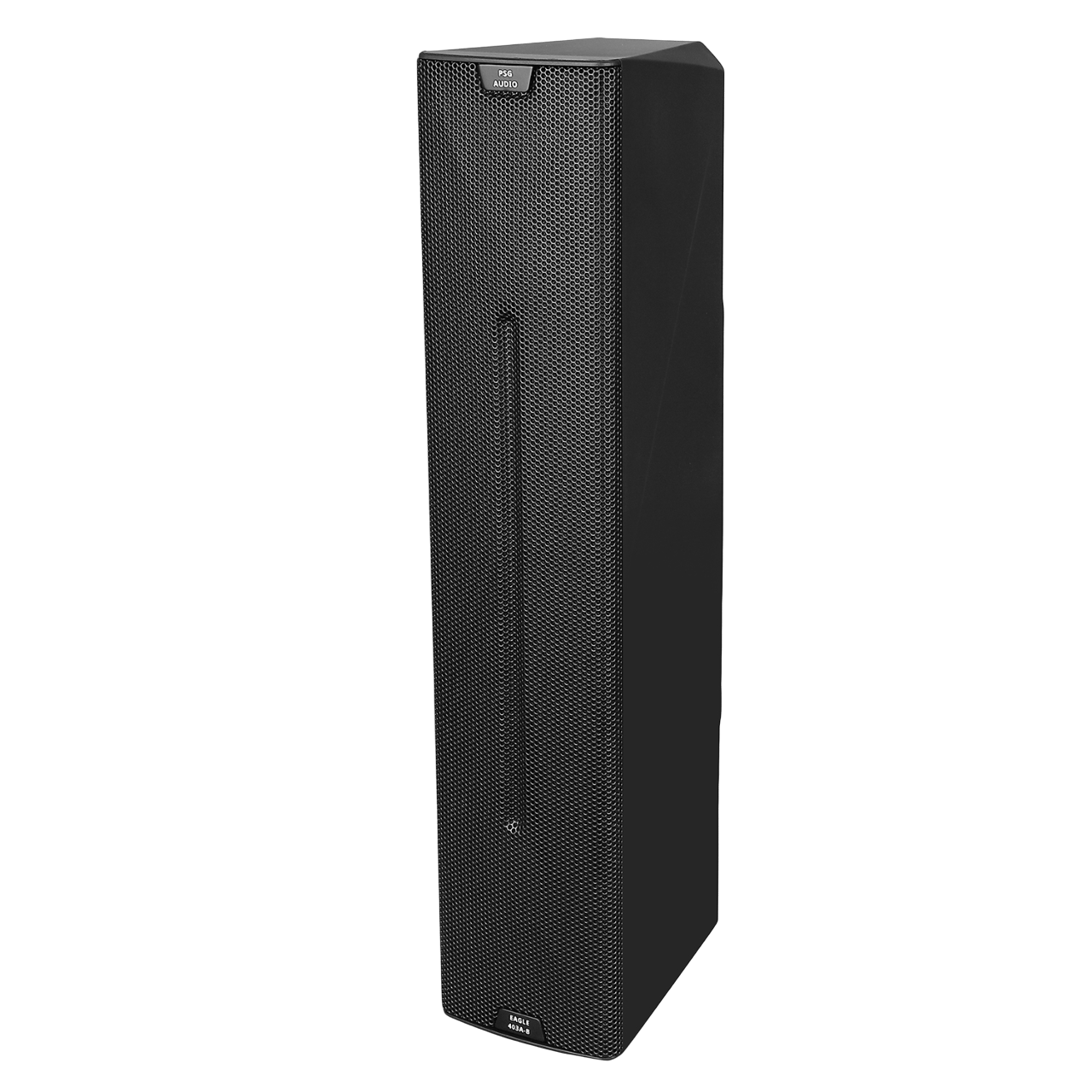 PSG Audio Eagle 206 Active Sound Column Speaker 403A-B