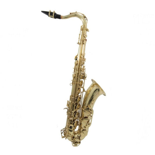 H.Hoffer Alto Saxophone