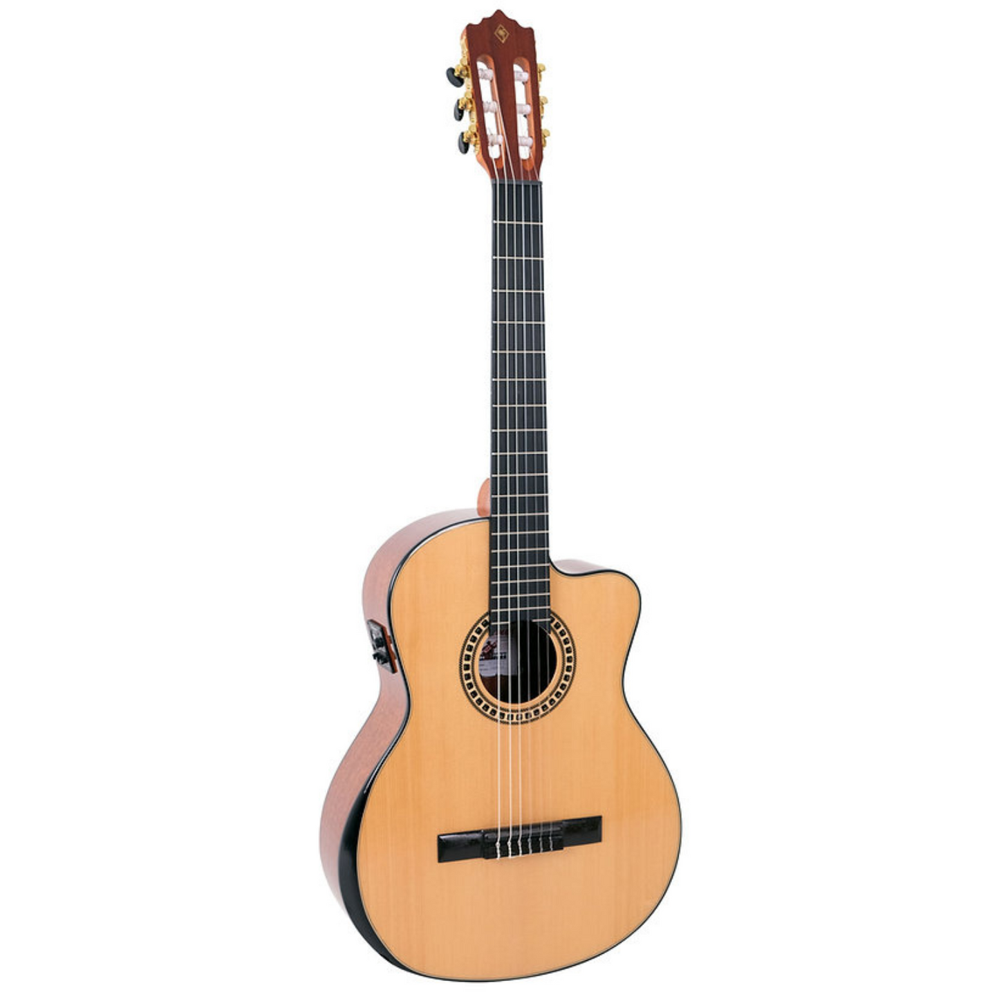 Palmer 39” Classic Cutaway Electric PC16-CEQ