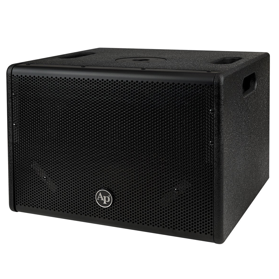 Audiopipe 10" Professional Active Subwoofer DJAP-SUB1001