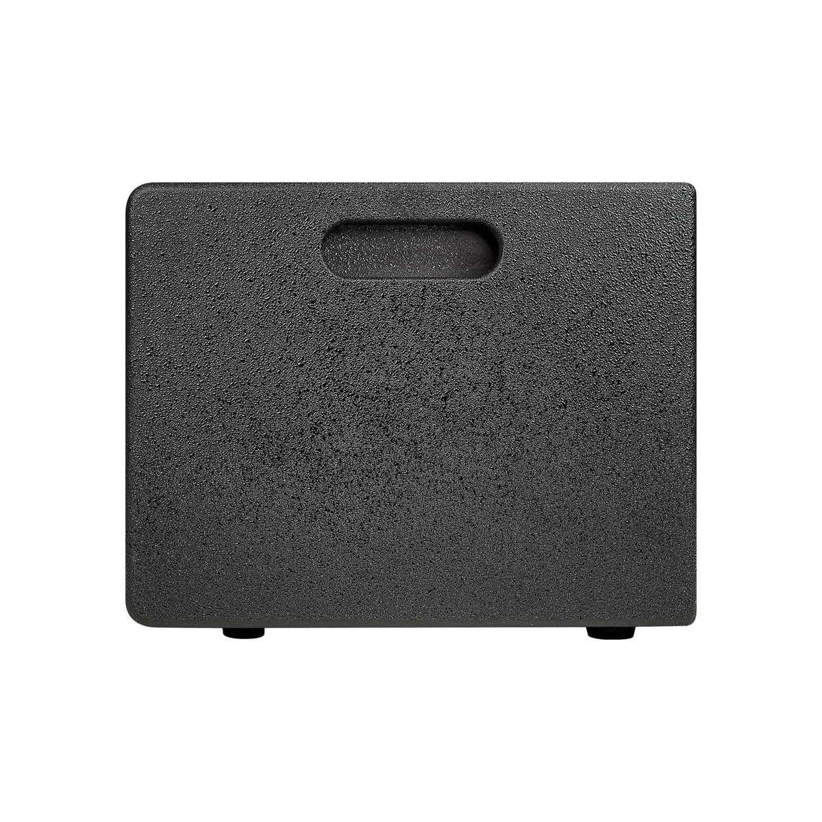 Audiopipe 10" Professional Active Subwoofer DJAP-SUB1001