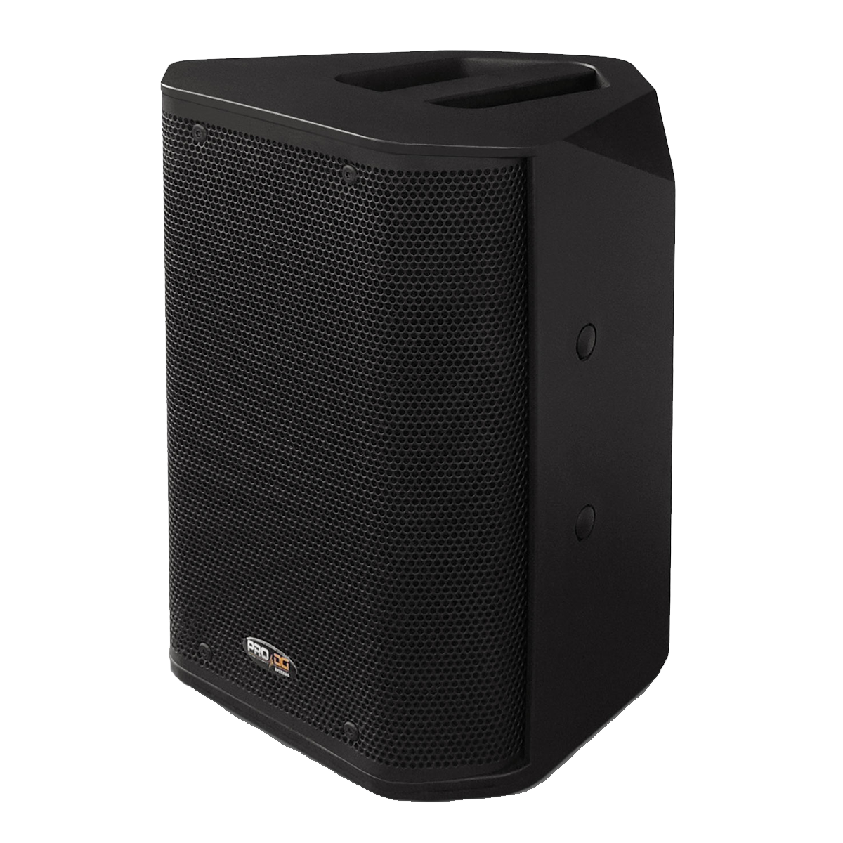 PRO DG Systems Pro Compact Speaker I-603