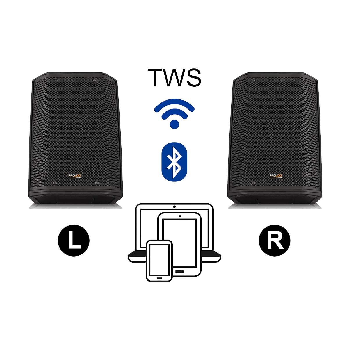 PRO DG Systems Pro Compact Speaker I-603