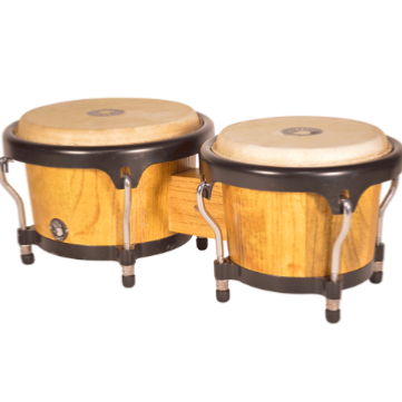 5D2 Bongo Bg950 Series (Natural)